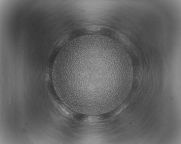 X0000070850758200606161135