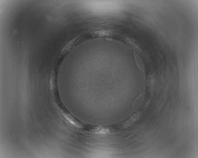 X0000070850760200606161135