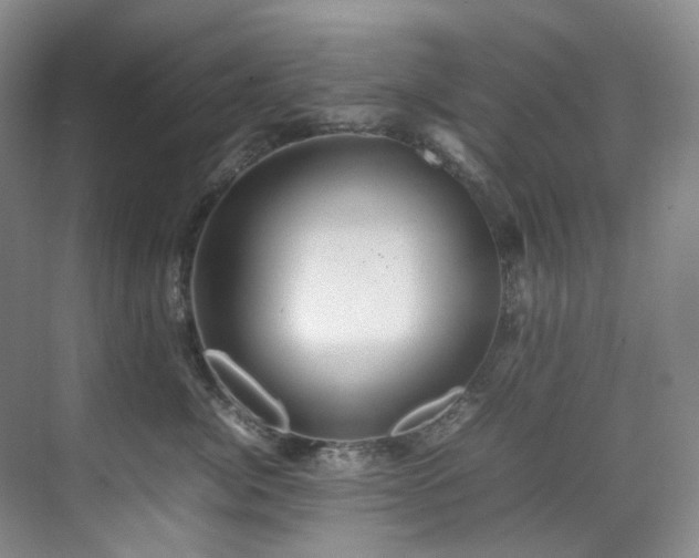 X0000070850764200606161135