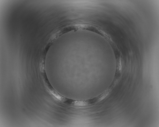 X0000070850766200606161135