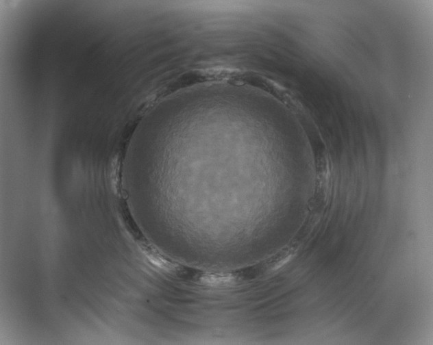 X0000070850767200606161135