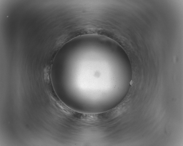 X0000070850768200606161135