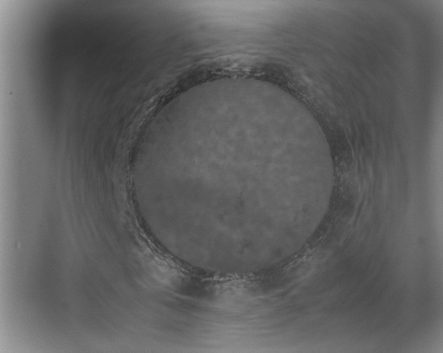 X0000070850769200606161134