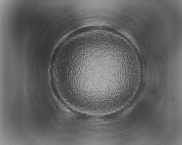 X0000070850783200606161134