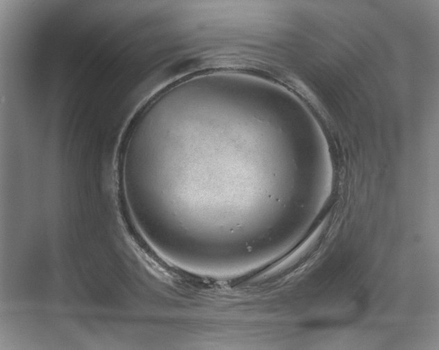 X0000070850787200606161134