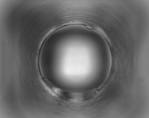 X0000070850805200606161133