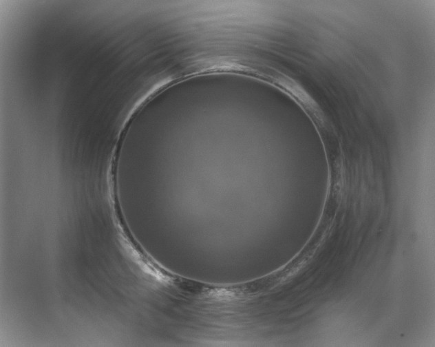 X0000070850806200606161133