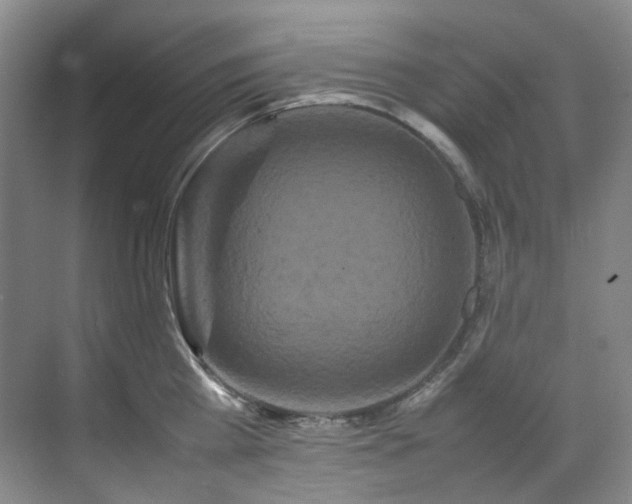 X0000070850809200606161133
