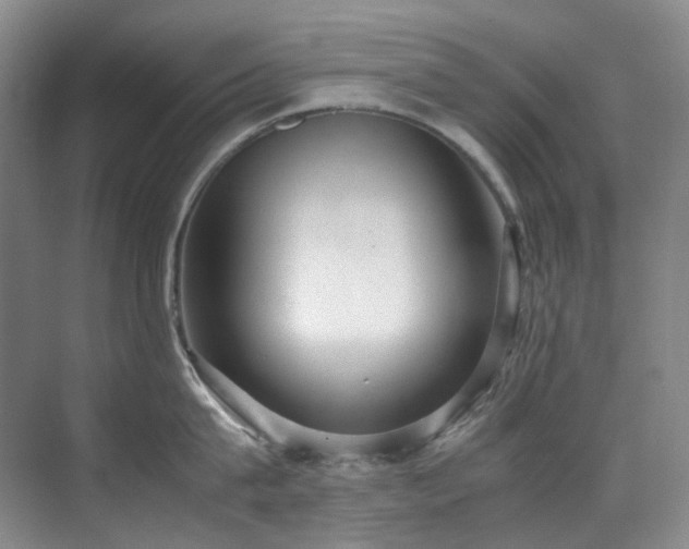 X0000070850815200606161133