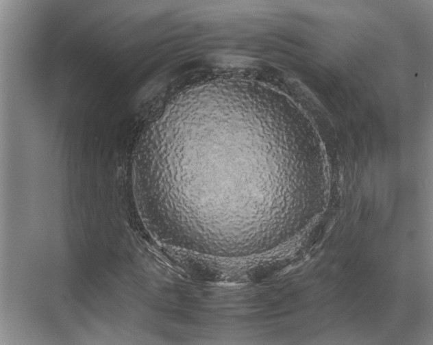 X0000070850821200606161132