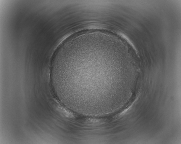 X0000070850829200606161132