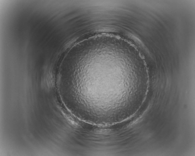 X0000070850833200606161133