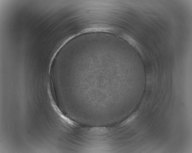 X0000070850844200606161133