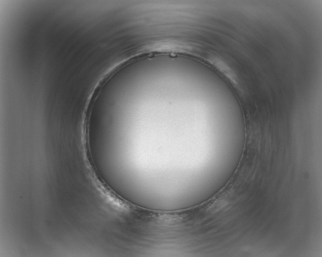 X0000070850848200606161133