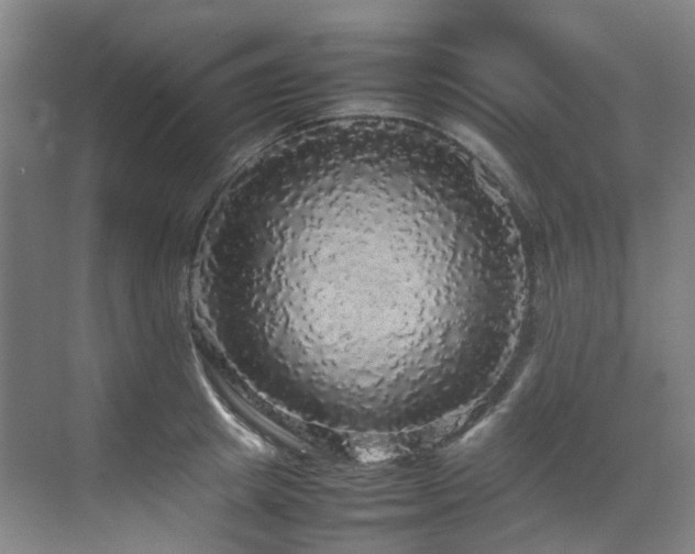 X0000070850849200606161133