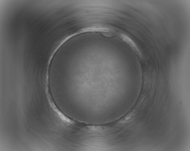 X0000070850852200606161133