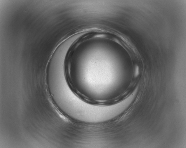 X0000070850858200606161133