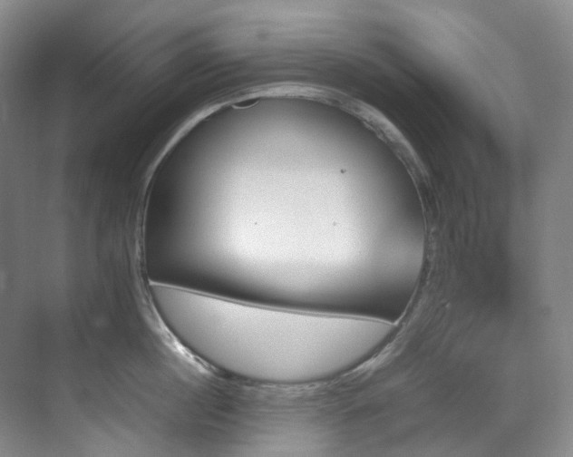 X0000070850860200606161133