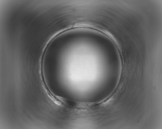 X0000070850862200606161133