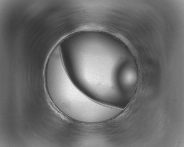X0000070850864200606161133