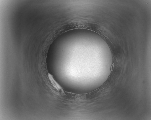 X0000070850865200606161132