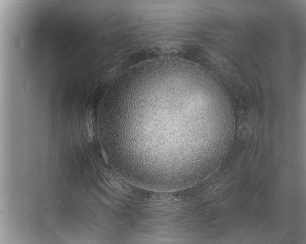 X0000070850866200606161132