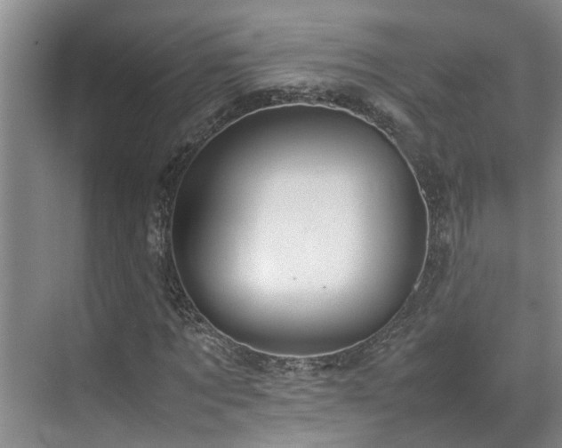X0000070850869200606161132