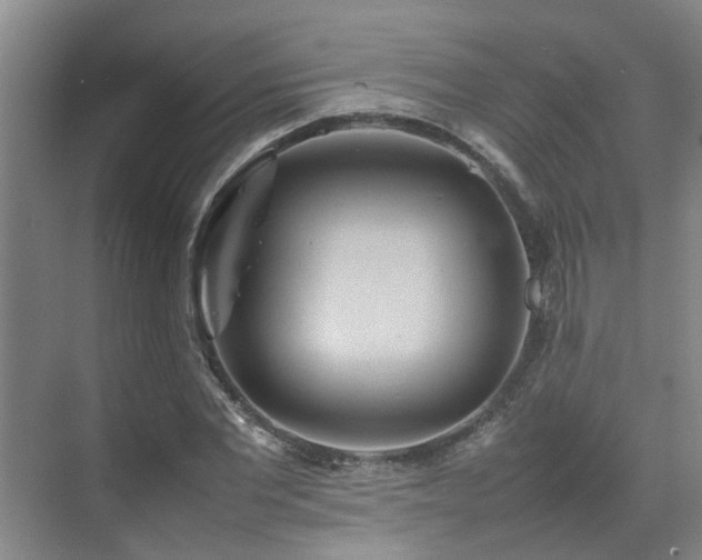 X0000070850877200606161132