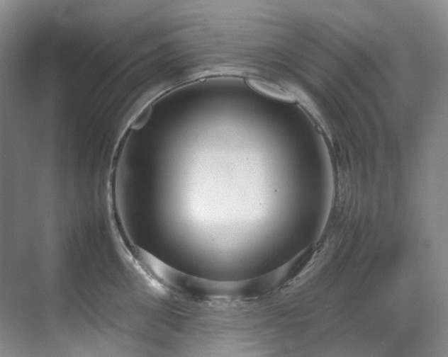 X0000070850906200606161132