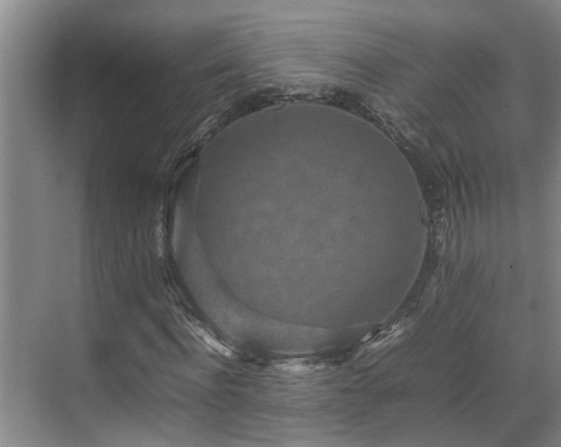 X0000070850916200606161131
