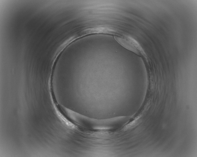 X0000070850946200606161131