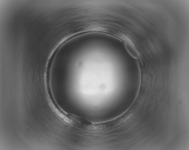 X0000070850947200606161131