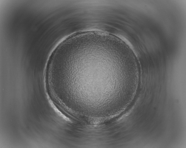 X0000070850949200606161131
