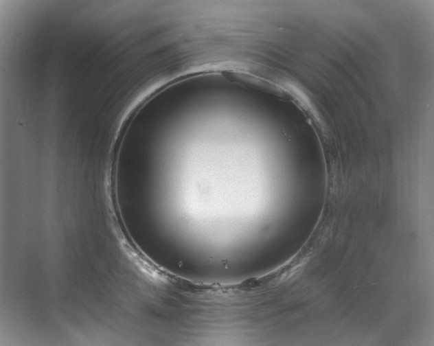 X0000070850952200606161131