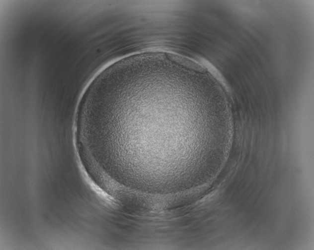 X0000070850955200606161131