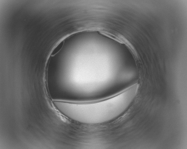 X0000070850956200606161131