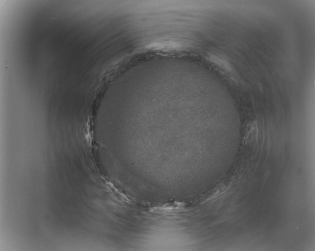 X0000070850966200606161131