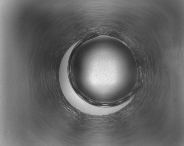 X0000070851010200606161129