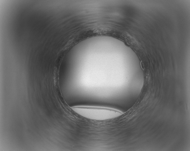 X0000070851012200606161129