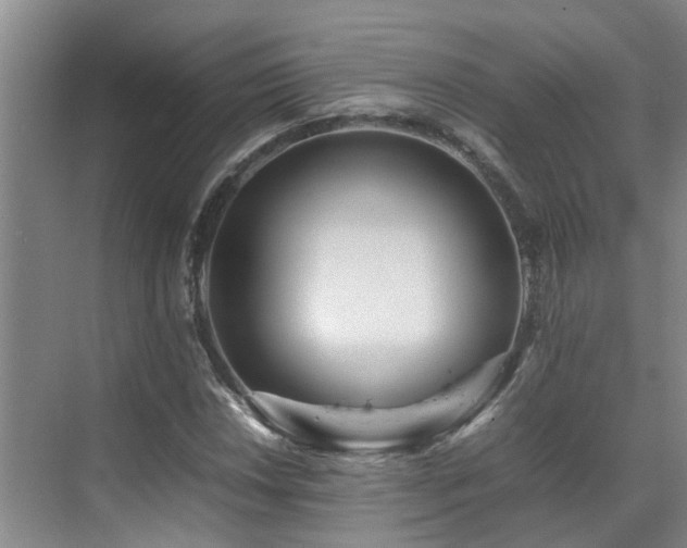 X0000070851018200606161129
