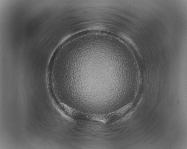 X0000070851029200606161129