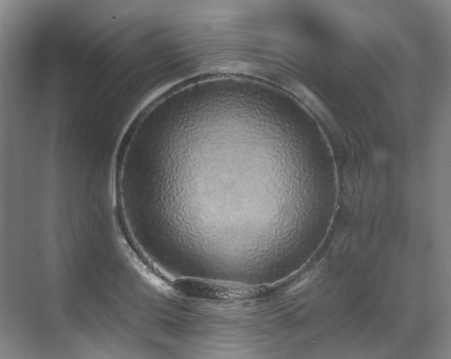 X0000070851036200606161129
