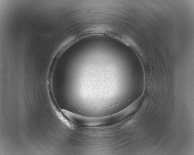 X0000070851042200606161130