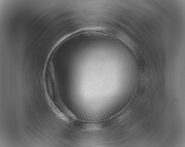X0000070851044200606161130