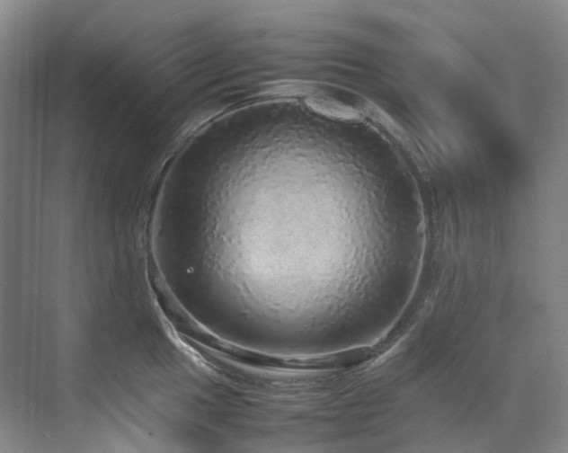 X0000070851049200606161130