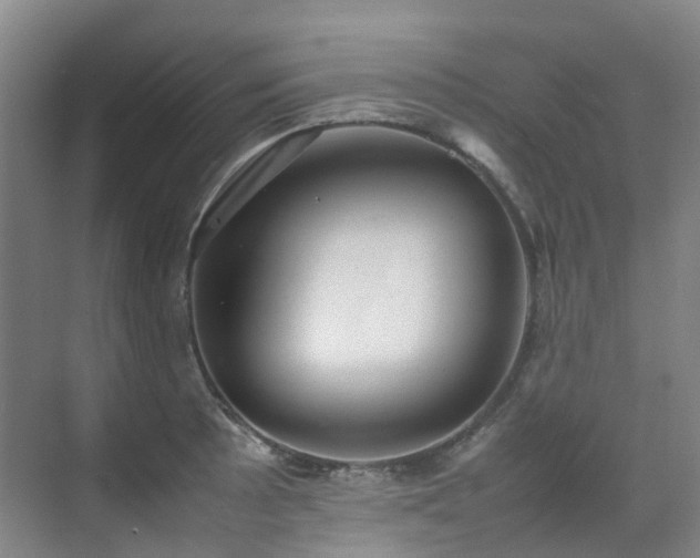 X0000070851089200606161128