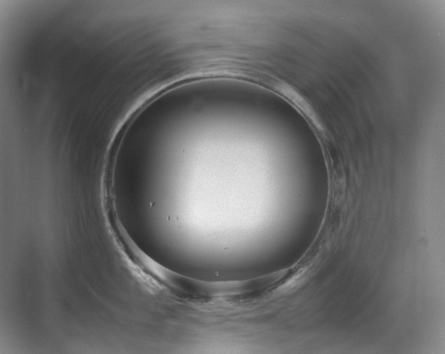 X0000070851101200606161128