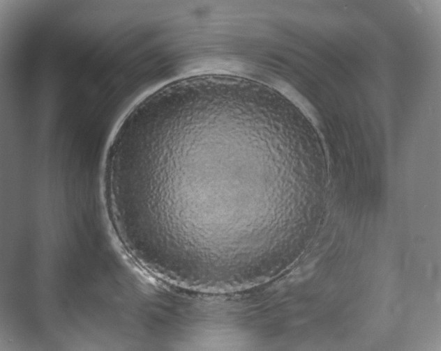 X0000070851104200606161128