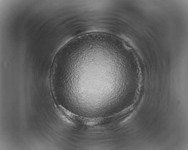 X0000070851137200606161128