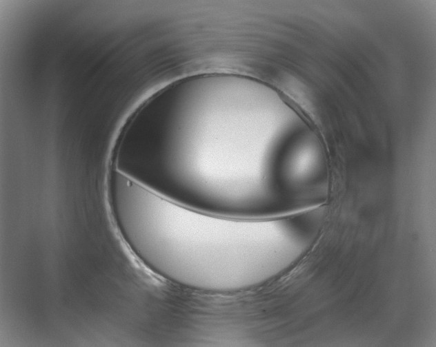 X0000070851144200606161128